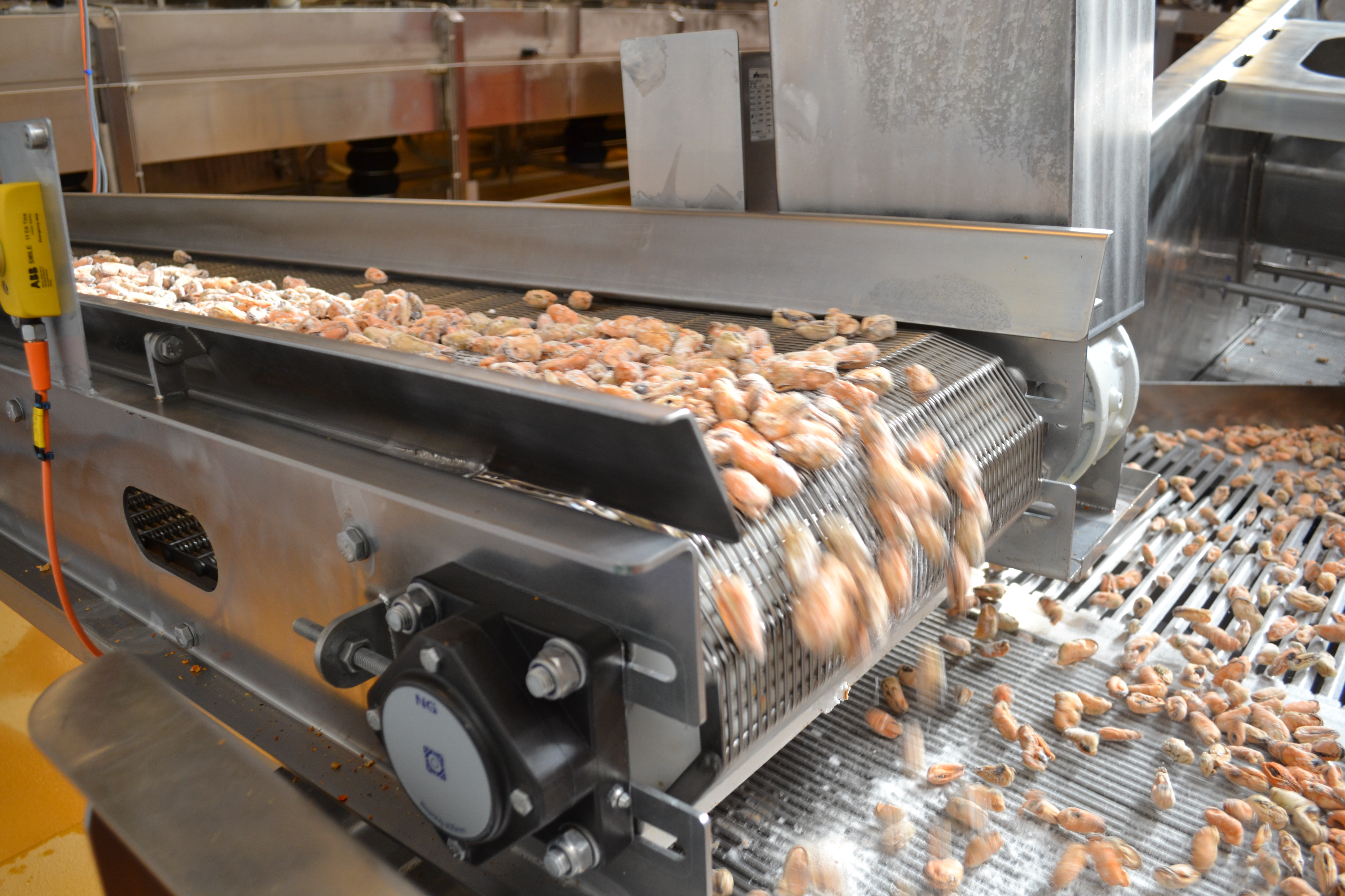 Kühlraumförderband mit NG-Flanschlagereinheit F4 geschlossen