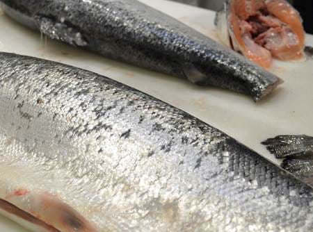 Filetiervorgang bei Marel in Støvring