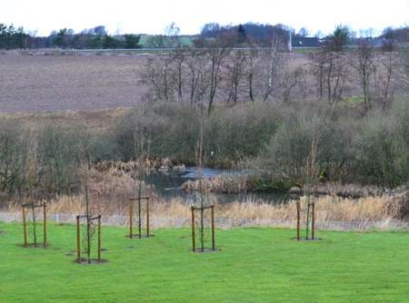 Die Natur um BJ-Gear in Stilling